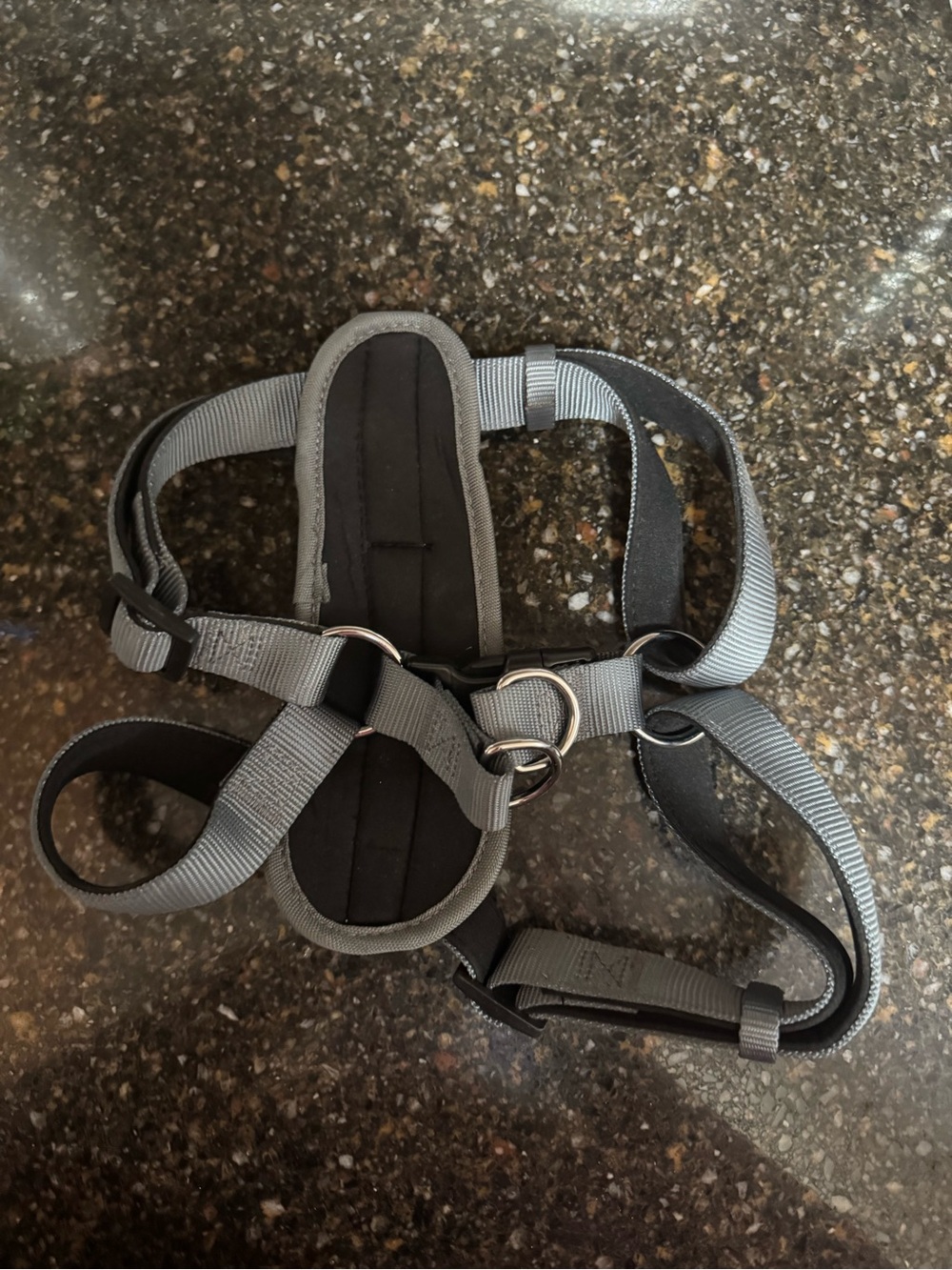 Padded Dog Harness - Size Large